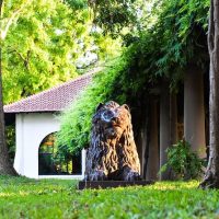 Walking Tours