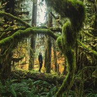 Hiking & Camping