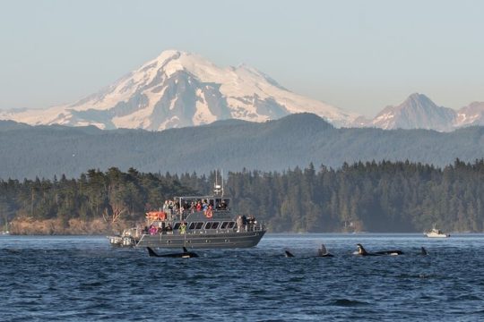 Hanukkah in San Juan Islands