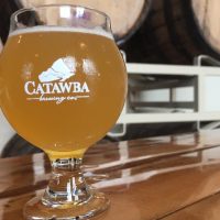 Beer & Brewery Tours