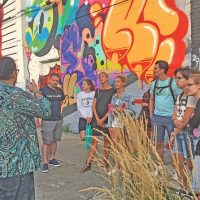 Cultural Tours