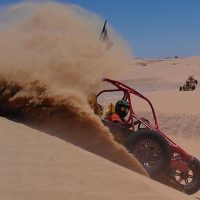 Private & Custom Tours