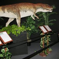 Museum Tickets & Passes