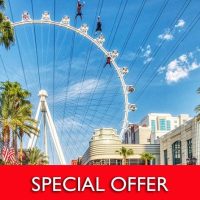 Holiday & Seasonal Tours