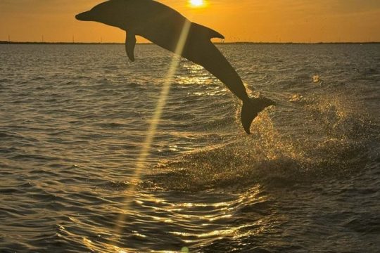 President's Day in Key Largo