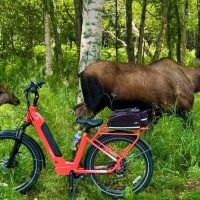 Bike & Mountain Bike Tours