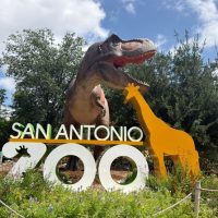 Sightseeing Tickets & Passes