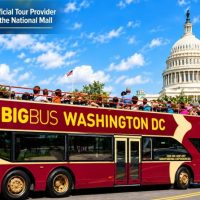 Tours & Sightseeing