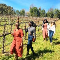 Full-day Tours