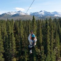 Ziplines