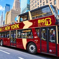 Hop-on Hop-off Tours