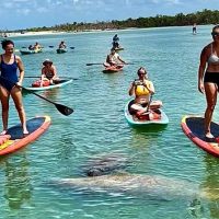 Water Sports