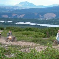 Half-day Tours