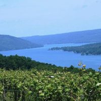 Luxury Tours