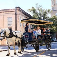 Cultural & Theme Tours