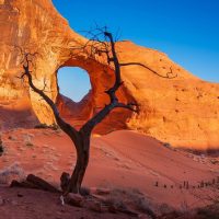 Tours & Sightseeing