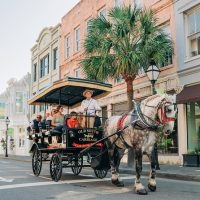 Historical & Heritage Tours
