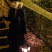 Cultural & Theme Tours