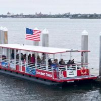 Day Cruises