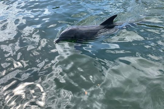 Valentine's Day in Key Largo