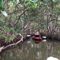 Kayaking & Canoeing