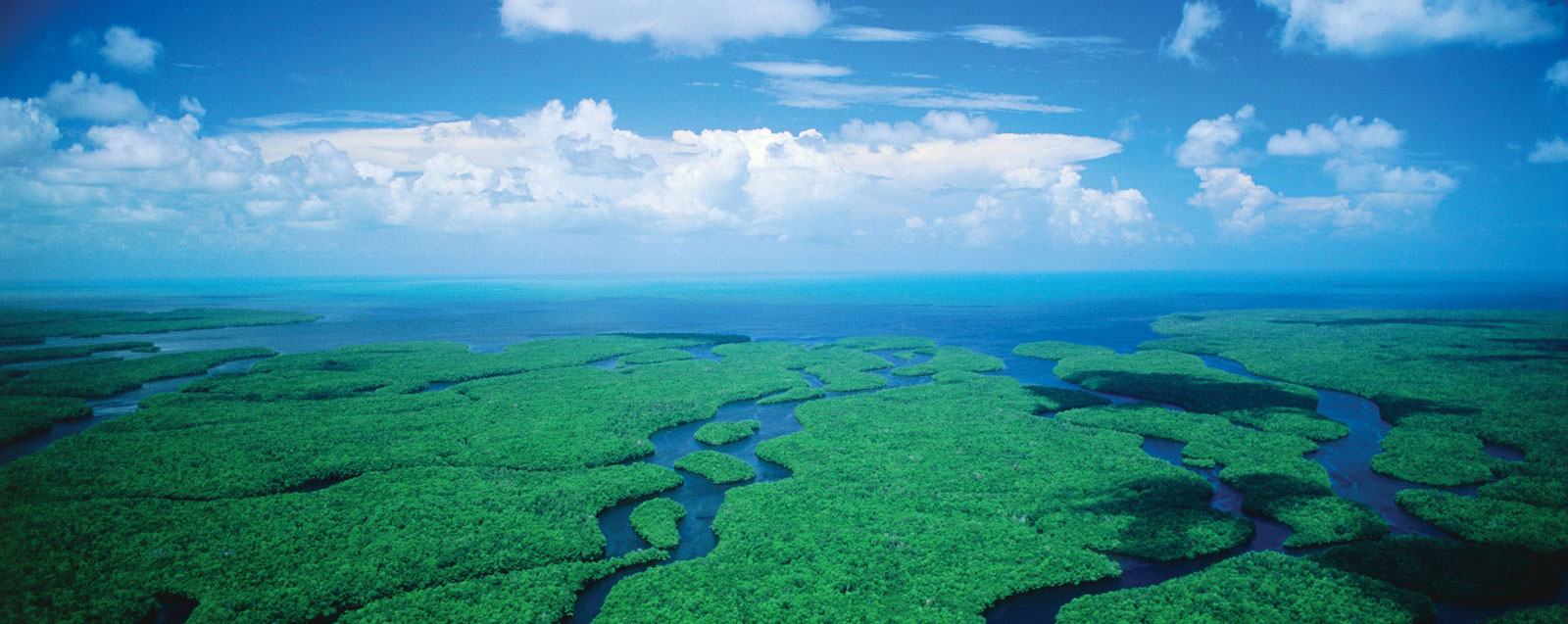 Top Picks for a Miami Everglades Airboat Adventure (Updated October 2026)