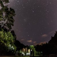 Night Tours