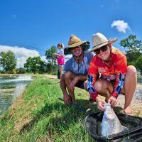 Fishing Charters & Tours