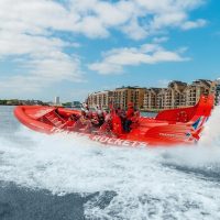 Cruises, Sailing & Water Tours