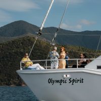 Boat Tours