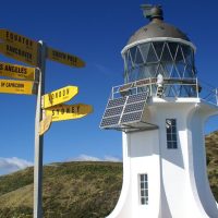 Day Trips & Excursions
