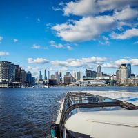 City Tours