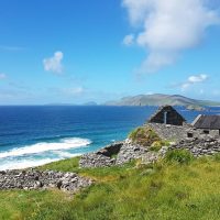 Cultural & Theme Tours