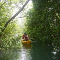 Kayaking & Canoeing