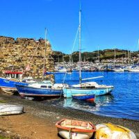 Full-day Tours
