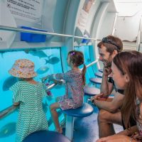 Cruises, Sailing & Water Tours