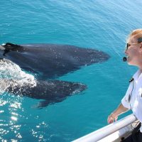 Sailing Trips