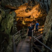 Walking & Biking Tours