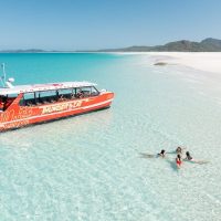 Cruises, Sailing & Water Tours