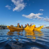 Kayaking & Canoeing