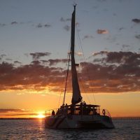 Boat Tours