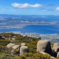 Tours & Sightseeing