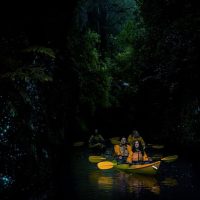 Half-day Tours