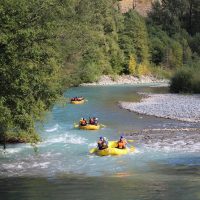 Bus & Minivan Tours