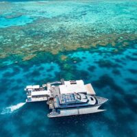 Day Cruises