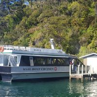 Catamaran Cruises