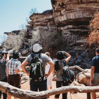 Day Trips & Excursions