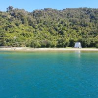 Half-day Tours