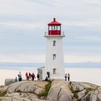 Shore Excursions