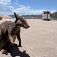 Luxury Tours